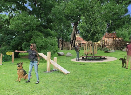 Dog playground