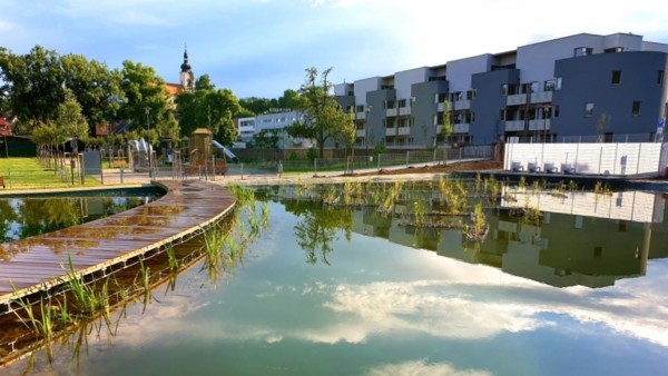 Establishment of biotope